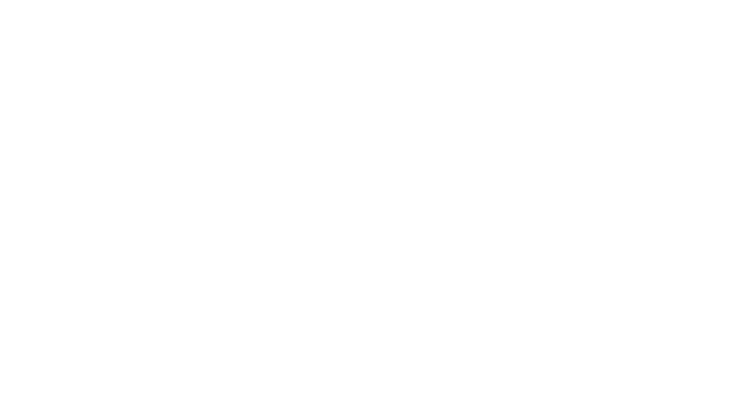 Invictus Carpets & LVT